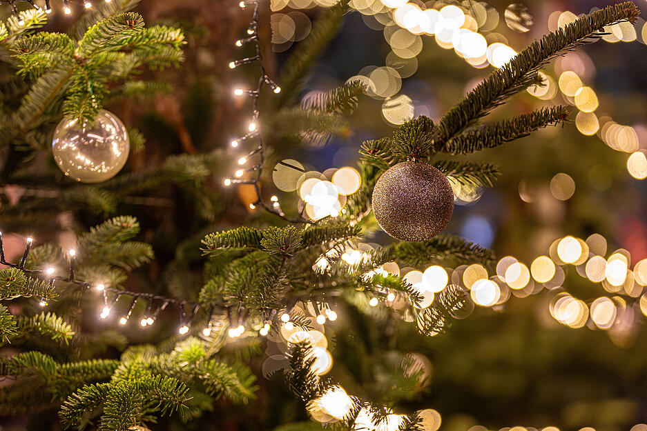 Weihnachtliche Deko bringt Besucher beim Winterzauber am Trappensee Heilbronn in besinnliche Stimmung. Weihnachtliche Deko bringt Besucher beim Winterzauber am Trappensee Heilbronn in besinnliche Stimmung.