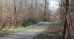 Die Ermittler haben erste Details nach dem Fund einer toten Frau in einem Wald bei Mannheim bekanntgegeben.