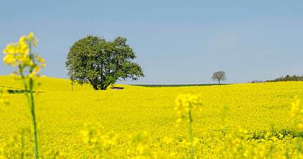 Diskutierten auf dem Podium und mit den Zuhörern im Foyer der Richard-von-Weizsäcker-Schule: (von links) Claudia Garrido, Jürgen Maurer, David Gerstmeier und Kai Bauer.
Fotos: Andreas Scholz Diskutierten auf dem Podium und mit den Zuhörern im Foyer der Richard-von-Weizsäcker-Schule: (von links) Claudia Garrido, Jürgen Maurer, David Gerstmeier und Kai Bauer.
Fotos: Andreas Scholz