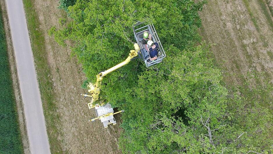 Mithilfe der Hubarbeitsb&uuml;hne, die von einer Heilbronner Firma den Angaben nach "unkompliziert und unentgeltlich" zur Verf&uuml;gung gestellt wurde, gelang schlie&szlig;lich in Bad Rappenau die Rettung der Greifvogel-K&uuml;ken.