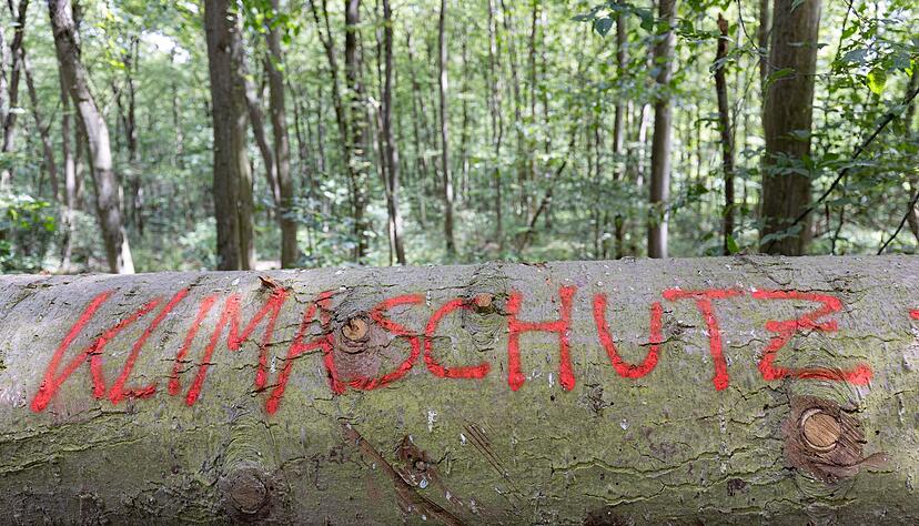 Die Studie basiert auf einer sozialwissenschaftlichen Langzeitbefragung in Deutschland. (Symbolbild) Die Studie basiert auf einer sozialwissenschaftlichen Langzeitbefragung in Deutschland. (Symbolbild)