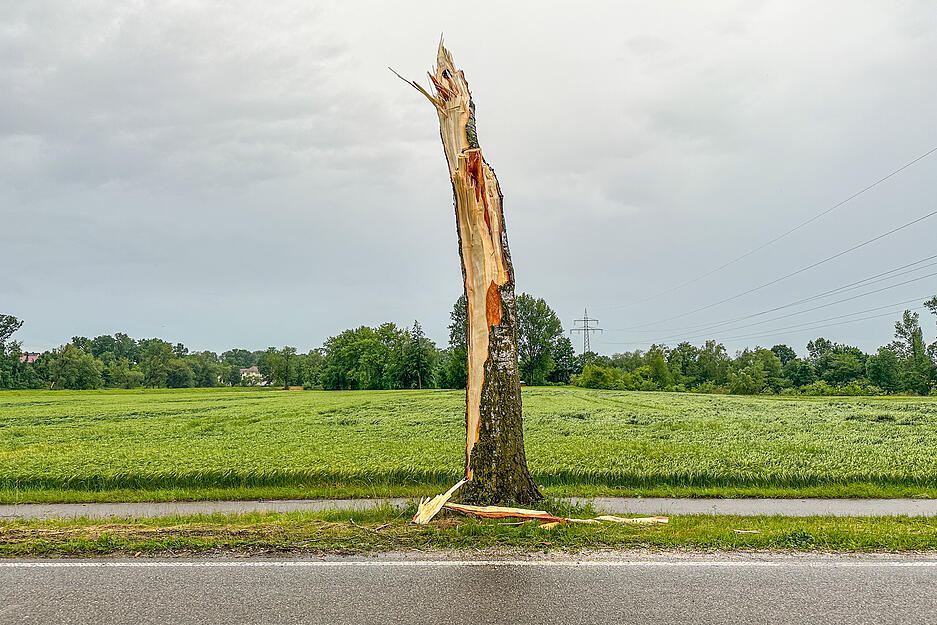 Der Deutsche Wetterdienst hatte besonders in der Nähe der Superzellen Orkanböen vorhergesagt. Der Deutsche Wetterdienst hatte besonders in der Nähe der Superzellen Orkanböen vorhergesagt.
