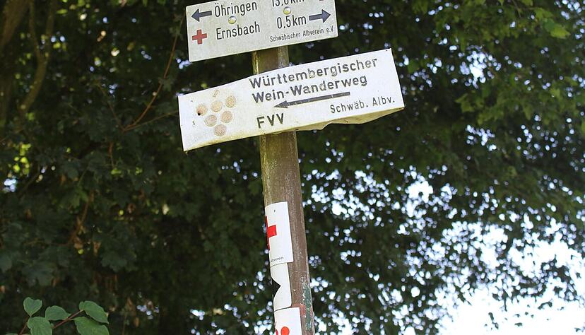 Kräftig rauf geht es an manchen Stellen: in Weinberge und an bewaldete Hänge. Die Aussicht von dort ins Kochertal ist toll. Kräftig rauf geht es an manchen Stellen: in Weinberge und an bewaldete Hänge. Die Aussicht von dort ins Kochertal ist toll.