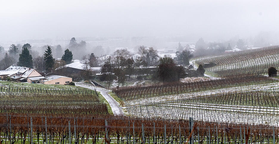 Auch in den Weinbergen im Raum Heilbronn ist ein wenig Schnee liegengeblieben.