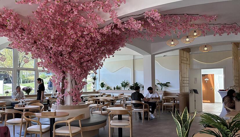 Der Hingucker im neuen Kimchi-Lokal in Heilbronn-Frankenbach: der große Kirschblütenbaum. Der Hingucker im neuen Kimchi-Lokal in Heilbronn-Frankenbach: der große Kirschblütenbaum.