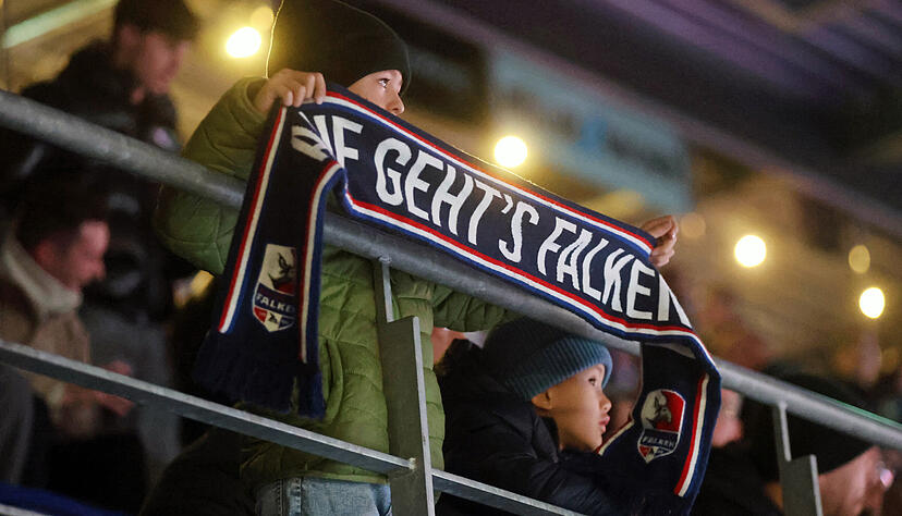 Eine hehrer Wunsch der kleinen Eishockey-Fans: Die Heilbronner Falken bleiben aber lieber in Deckung.