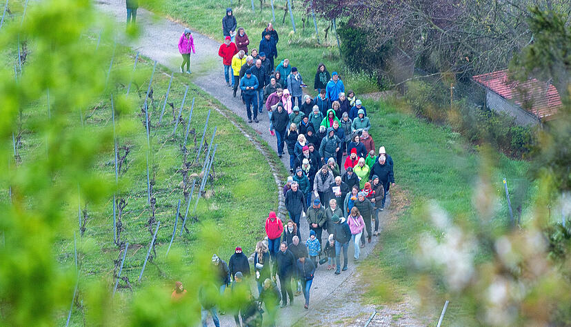 Durch die Neckarsulmer Weinberge geht es an Karfreitag auf den Scheuerberg in Neckarsulm.