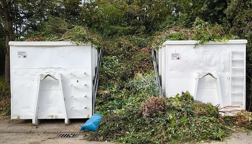 &Uuml;berquellende Gr&uuml;nabfallcontainer in der Sinsheimer Stra&szlig;e auf der Schanz in B&ouml;ckingen.