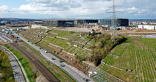 Am Hang an der B27 wurde gerodet, auch H&uuml;tten und Trockenmauern werden noch abgebaut. Das sind Vorarbeiten f&uuml;r den Knoten-Umbau Kochendorf-S&uuml;d.