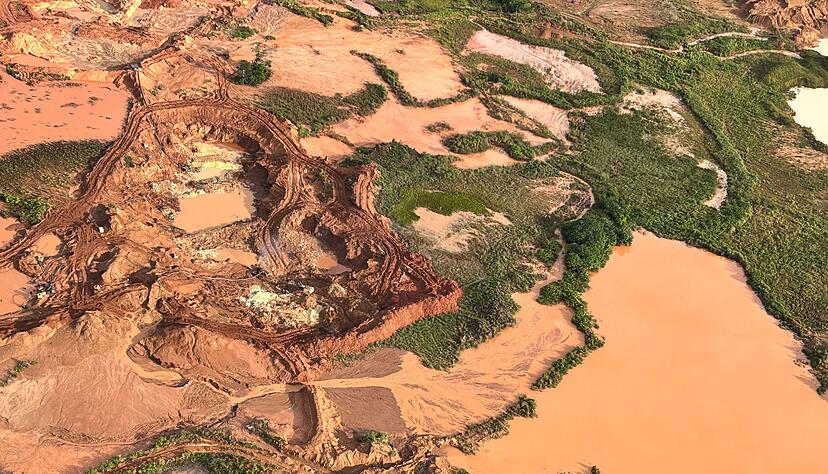 Aus der Luft sind abgeholzte Flächen im Amazonas-Gebiet zu sehen. (Archivbild) Aus der Luft sind abgeholzte Flächen im Amazonas-Gebiet zu sehen. (Archivbild)