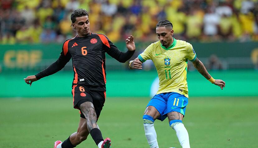 Brasilien ging bereits nach kurzer Zeit in F&uuml;hrung.