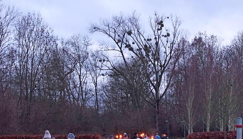 Bei der Themenwanderung durch die Cappelaue sind 30 Teilnehmer in der Dämmerung unterwegs und erfahren über Geschichten zu den Rauhnächten, welche Themen die Menschen früher zum Jahreswechsel umgetrieben haben. Bei der Themenwanderung durch die Cappelaue sind 30 Teilnehmer in der Dämmerung unterwegs und erfahren über Geschichten zu den Rauhnächten, welche Themen die Menschen früher zum Jahreswechsel umgetrieben haben.