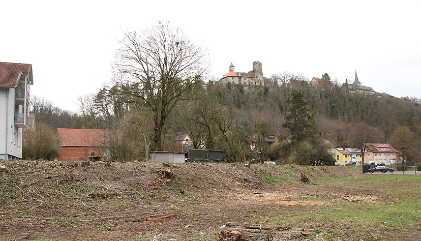 Die Jagsttalbahn-Trasse f&uuml;hrt quer &uuml;ber das Gel&auml;nde. Das Niveau der dort geplanten Parkpl&auml;tze soll an den Bahndamm angepasst, also angehoben werden.