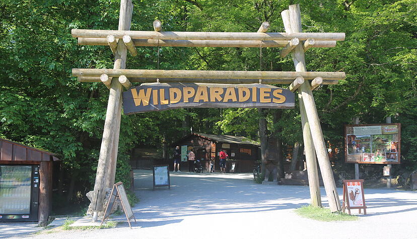 Am Eingangsbereich soll das Wildparadies in Tripsdrill neu gestaltet werden. Wo mal ein Erlebnisbauernhof geplant war, soll ein moderner Empfangsbereich entstehen.