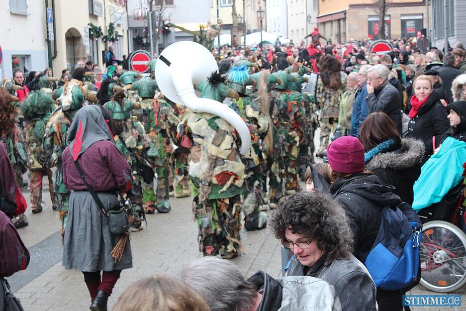 Fasnetumzug Brackenheim | 11.01.