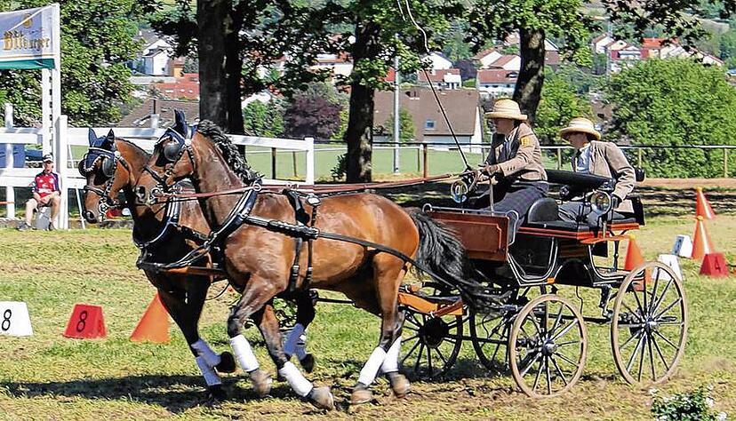 Anja Steinhilber vom RFV Brettachtal fuhr einige vordere Platzierungen vor heimischer Kulisse ein.Foto: Tamara K&uuml;hner