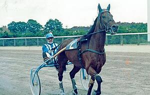 In Kirchardt startete Manfred Wandres aus Steinsfurt eine erfolgreiche Galopper-Karriere. Foto: privat In Kirchardt startete Manfred Wandres aus Steinsfurt eine erfolgreiche Galopper-Karriere. Foto: privat