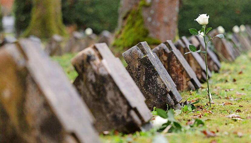 Eine Rose steckt bei der Gedenkfeier zum Volkstrauertag auf einem Friedhof.