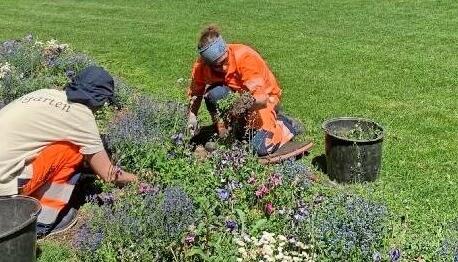 Die Gärtnerinnen vom Öhringer Bauhof machen die Beete für die Großveranstaltung schön. Die Gärtnerinnen vom Öhringer Bauhof machen die Beete für die Großveranstaltung schön.