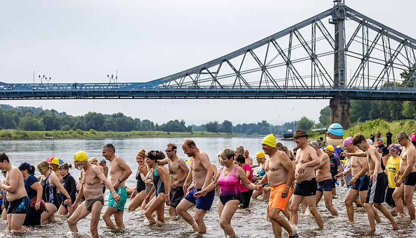 Hunderten Menschen machen beim Elbeschwimmen mit.