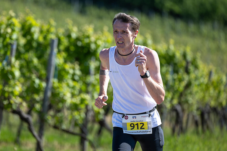 Der Trollinger-Marathon führt die Läufer auch um die Weinberge in Heilbronns Umgebung. Der Trollinger-Marathon führt die Läufer auch um die Weinberge in Heilbronns Umgebung.