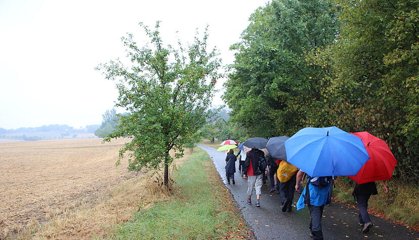 Lesersommer-Wanderung bei Criesbach