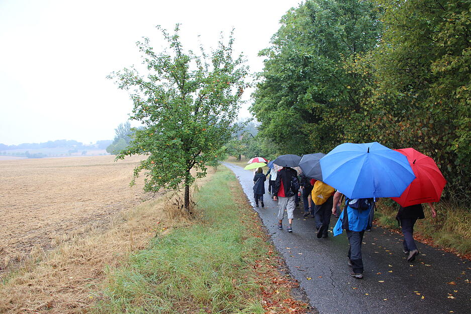 Lesersommer-Wanderung bei Criesbach