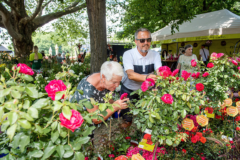 Gartenträume in Heilbronn Gartenträume in Heilbronn