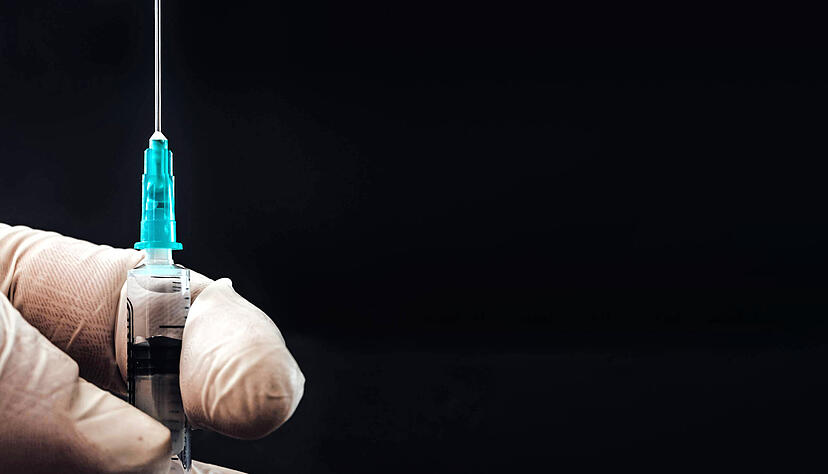 Foto: Marko Duca/stock.adobe.com