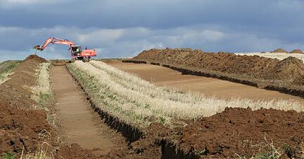 Zur Zeit arbeitet das Landesamt f&uuml;r Denkmalpflege auf der Fl&auml;che des k&uuml;nftigen Standorts der Firma Fuyao Glass Industry Group. Fotos: A. Veigel