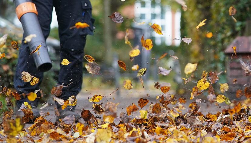Zürich will den Einsatz nur noch von Oktober bis Dezember erlauben. (Symbolfoto) Zürich will den Einsatz nur noch von Oktober bis Dezember erlauben. (Symbolfoto)