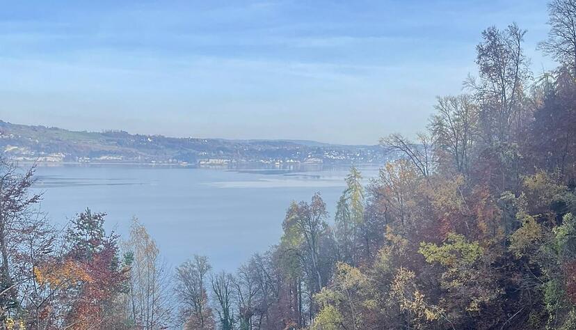 So sieht der neue Panoramasteg aus.