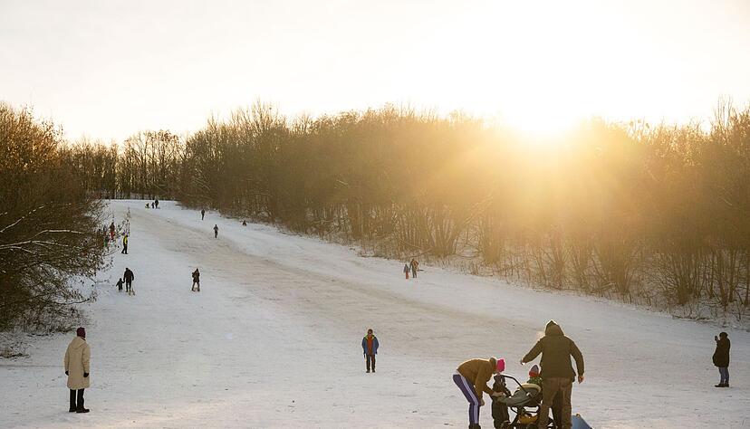 Das Winterwetter hat auch sch&ouml;ne Seiten - wie hier am Teufelsberg in Berlin.