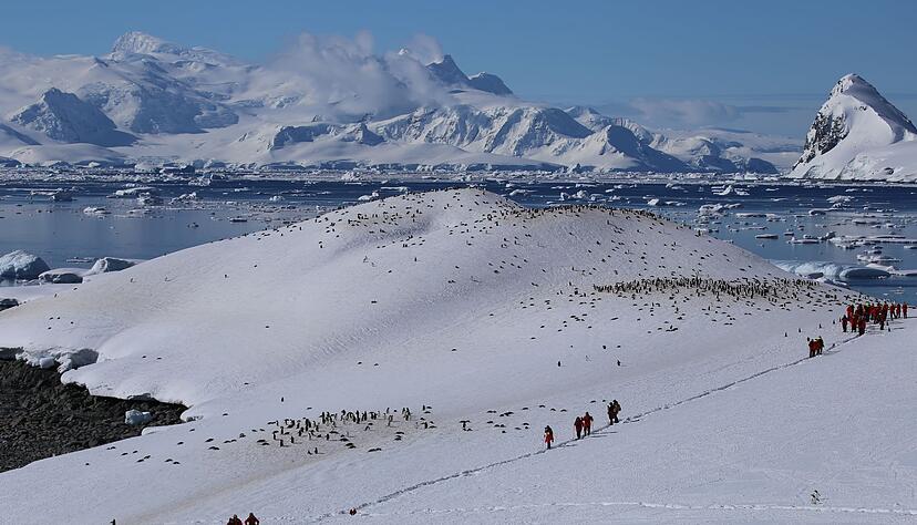 Einige Experten sagen, der Tourismus in der Antarktis müsse stärker reguliert werden. Einige Experten sagen, der Tourismus in der Antarktis müsse stärker reguliert werden.