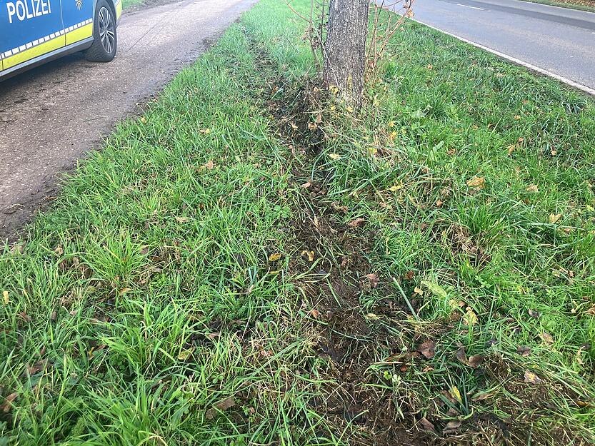 Wie die Ermittler berichten, war der Peugeot zunächst auf den Grünsteifen und dann auf einen Radweg geraten.