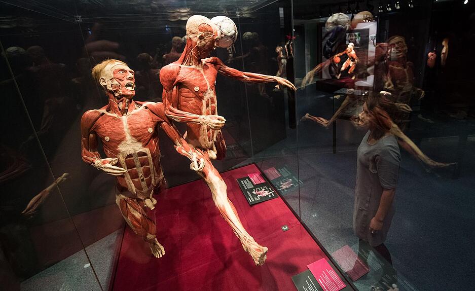 K&ouml;rperwelten-Ausstellung in Heidelberg