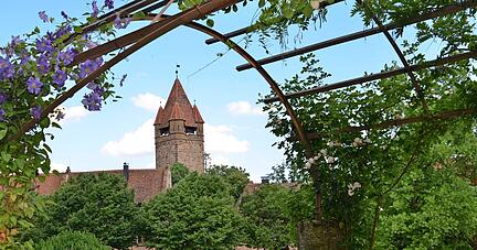 Nach über 20 Jahren ist es nun soweit − ein Teil der Anlagen von Schloss Stocksberg und der große Park werden erstmals für die Öffentlichkeit geöffnet.
Foto: Pfäffle Nach über 20 Jahren ist es nun soweit − ein Teil der Anlagen von Schloss Stocksberg und der große Park werden erstmals für die Öffentlichkeit geöffnet.
Foto: Pfäffle