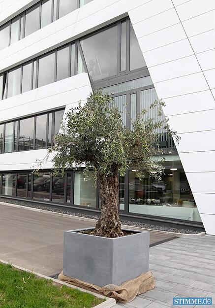 B&uuml;rogeb&auml;ude Neckarsulm