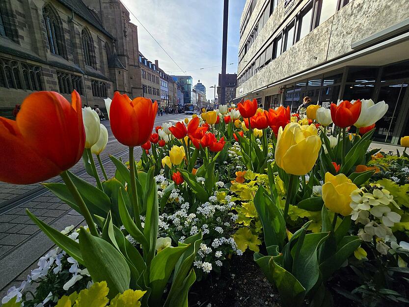 Aber auch in der Innenstadt. Aber auch in der Innenstadt.
