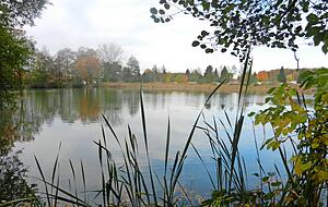 Der Buchhorner See ist zu jeder Jahreszeit ein Idyll. An seinem Ufer gibt es drei Campingplätze. Foto: meine.Stimme-Heimatreporter Manfred Bender
