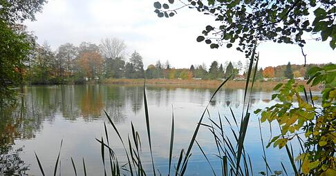 Der Buchhorner See ist zu jeder Jahreszeit ein Idyll. An seinem Ufer gibt es drei Campingplätze. Foto: meine.Stimme-Heimatreporter Manfred Bender