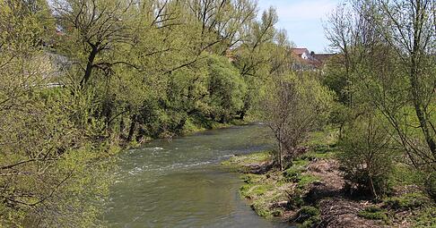 Gew&auml;sser, wie die Jagst hier bei Sch&ouml;ntal-Winzenhofen, m&uuml;ssen bis 2027 in einen guten &ouml;kologischen und guten chemischen Zustand versetzt werden. Dazu geh&ouml;rt auch, dass die Wehre durchg&auml;ngig f&uuml;r Fische sein m&uuml;ssen.