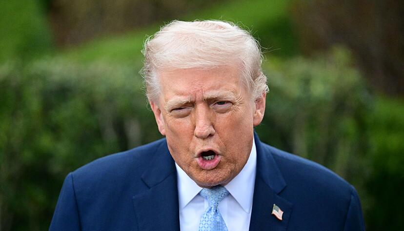 US-Pr&auml;sident Trump will, dass Beamte der umstrittenen Beh&ouml;rde ICE sich um die Sicherheit an Flugh&auml;fen k&uuml;mmern. (Archivbild)