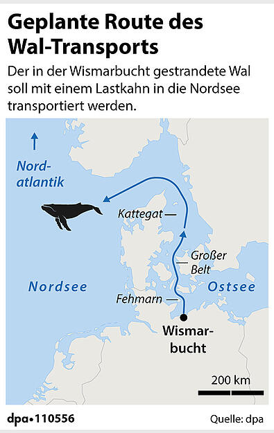 Die Grafik zeigt die geplante Route des Wal-Transports in die Nordsee.