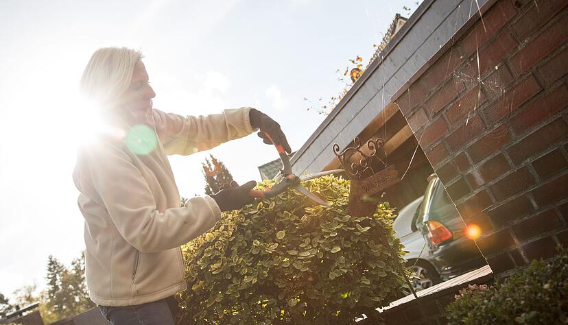 Hecken sollten erst im Herbst geschnitten werden, wenn das Wachstum abgeschlossen ist – für saubere Konturen in den Wintermonaten. Hecken sollten erst im Herbst geschnitten werden, wenn das Wachstum abgeschlossen ist – für saubere Konturen in den Wintermonaten.