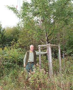 Forstrevierleiter Theo Zinser pflanz alternative Baumarten wie den Speierling, um den Wald gut f&uuml;r die Zukunft zu wappnen.