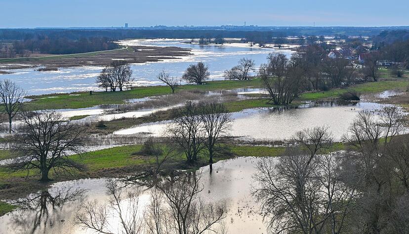 Das Hochwasser vom deutsch-polnischen Grenzfluss Oder hat schon teilweise Wiesen vor dem Deich überflutet.