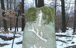 Im Wald bei Obersulm-Eichelberg steht dieser Stein, der die Grenze zwischen Württemberg und Hohenlohe markiert. Foto: