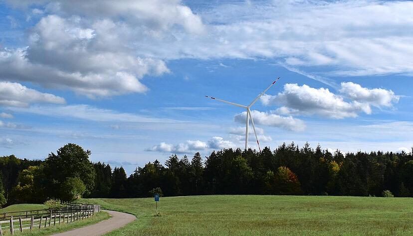 Im Eichswald von Kuhnweiler-Hals in Wüstenrot könnte eine Windkraftanlage gebaut werden. Im Eichswald von Kuhnweiler-Hals in Wüstenrot könnte eine Windkraftanlage gebaut werden.