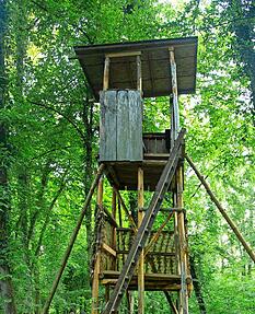 Der Hochsitz im Laubwald im Kapfenhardt in Flein.
